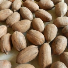 碧根果原料生坚果新鲜山核桃原味