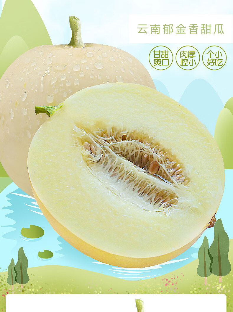 2fa86435eefd5f21.jpg