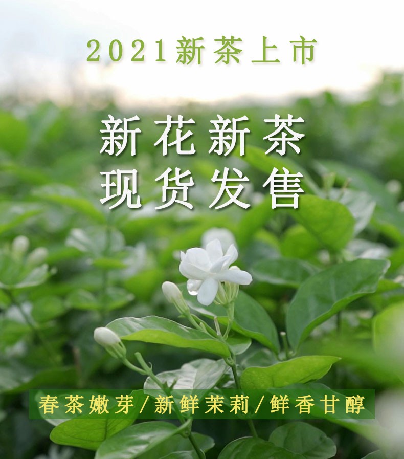 d511a5fd80d7fea1.jpg
