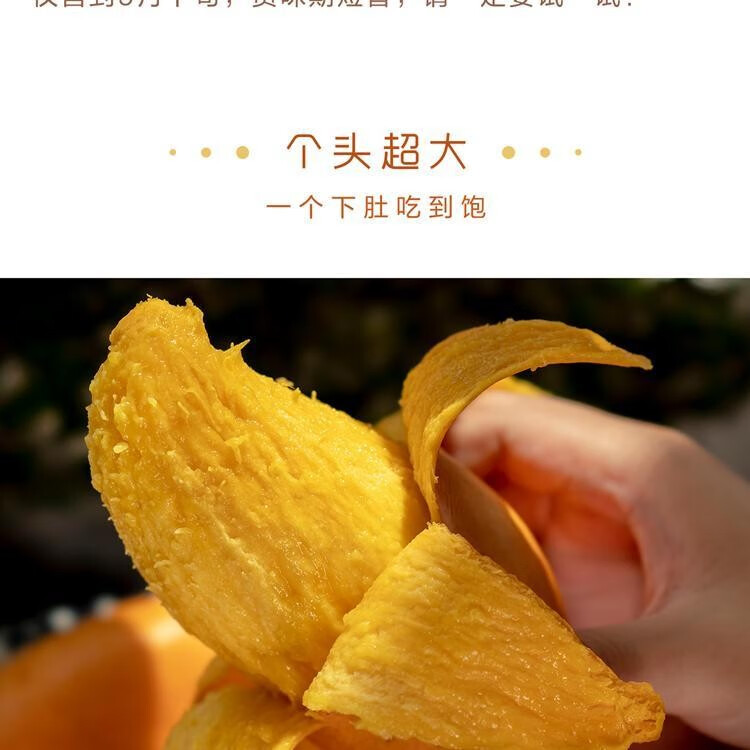 83d13a15987c7937.jpg